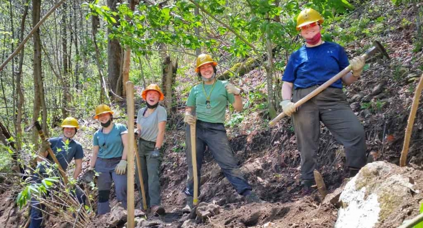 People wearing hard hats hold tools in a wooded area. 